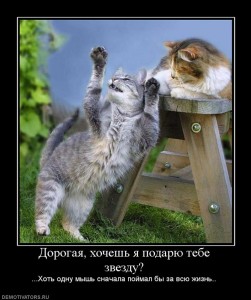 Подарю тебе звезду...