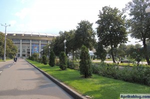 Престижная аллея в Лужниках