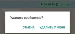 Старые сообщения в WhatsApp можно удалить только у себя