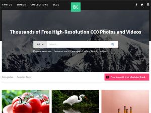 Скриншот сайта ISO Republic