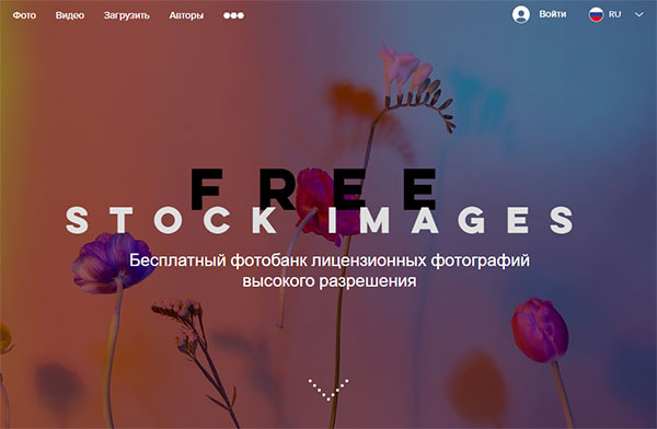Фотосток FreeStockImages.ru