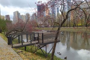 Красногвардейские пруды
