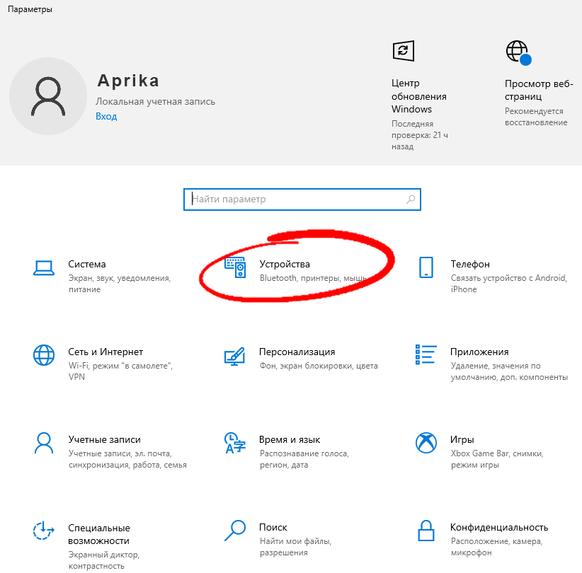 Устройства в настройках Windows10